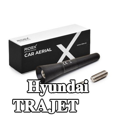 RIDEX سقف هوائي للمركبة — Hyundai Trajet