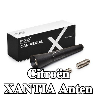 RIDEX Hava aracı tavanı — Citroën Xantia