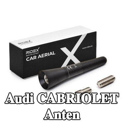 RIDEX Hava aracı tavanı — Audi Cabriolet