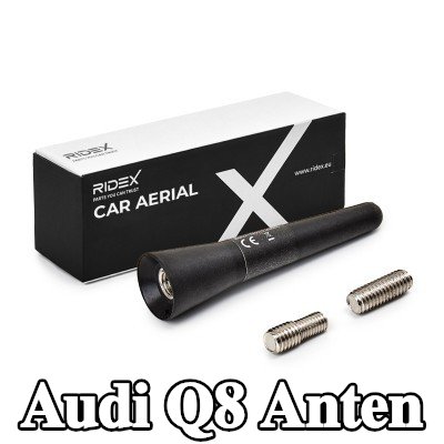 RIDEX Hava aracı tavanı — Audi Q8
