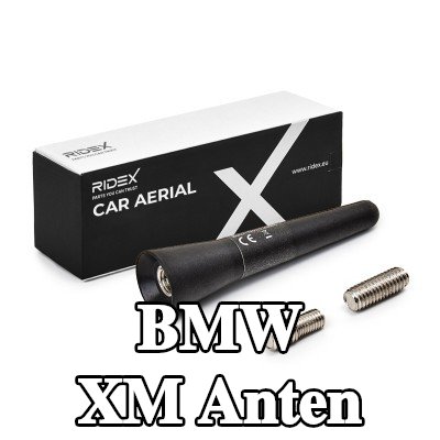 RIDEX Hava aracı tavanı — BMW Xm