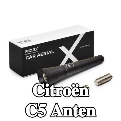 RIDEX Hava aracı tavanı — Citroën C5