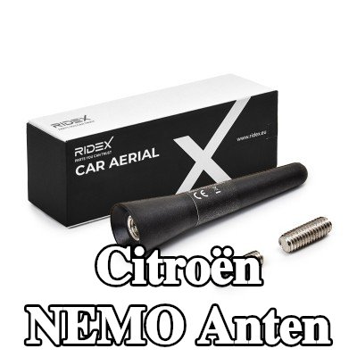 RIDEX Hava aracı tavanı — Citroën Nemo