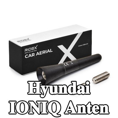 RIDEX Hava aracı tavanı — Hyundai Ioniq