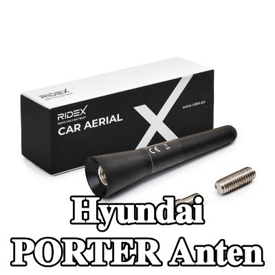 RIDEX Hava aracı tavanı — Hyundai Porter