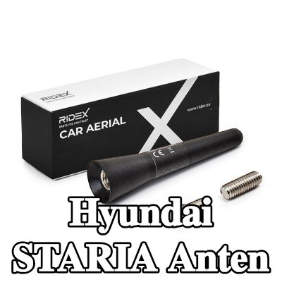 RIDEX Hava aracı tavanı — Hyundai Staria