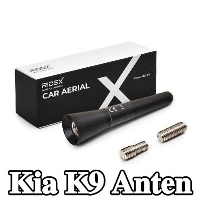RIDEX Hava aracı tavanı — Kia K9