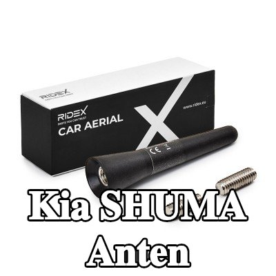 RIDEX Hava aracı tavanı — Kia Shuma