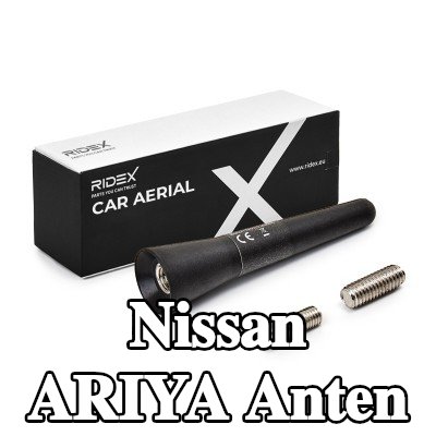 RIDEX Hava aracı tavanı — Nissan Ariya
