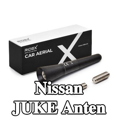 RIDEX Hava aracı tavanı — Nissan Juke