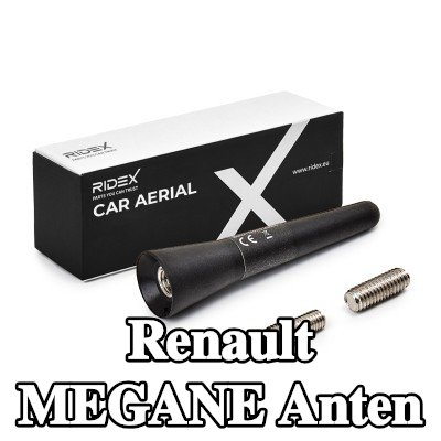 RIDEX Hava aracı tavanı — Renault Megane