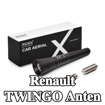RIDEX Hava aracı tavanı — Renault Twingo