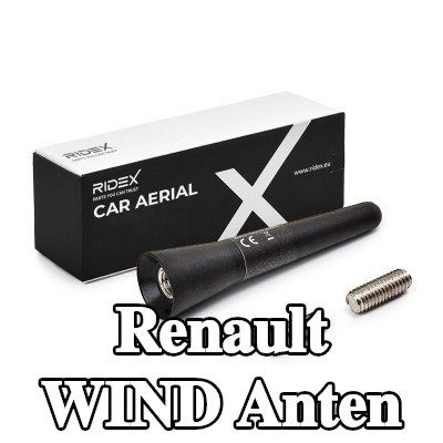 RIDEX Hava aracı tavanı — Renault Wind