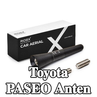 RIDEX Hava aracı tavanı — Toyota Paseo