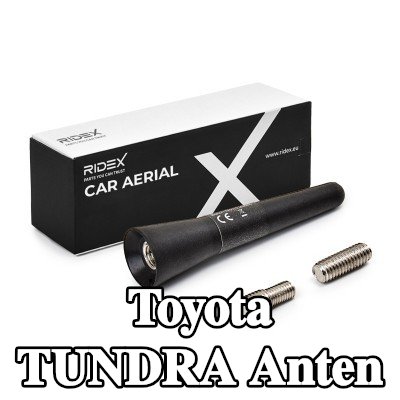 RIDEX Hava aracı tavanı — Toyota Tundra