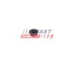 FAST Enjektör kelepçe cıvatası — SEAT Exeo (2)