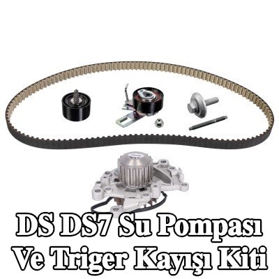 FEBI BILSTEIN Su pompası ve triger kayışı kiti Diş Sayısı: 131, sabitleme/montaj malzemesi ile, su pompalı — DS Ds7