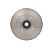 BOSCH Arka aks fren kampanası, 247mm, ABS sensör halkalı, tekerlek yatağı ile — 2002 Peugeot 206 (6)