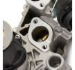 VALEO Contalı/sızdırmazlık elemanlı EGR valfi — 2012 SEAT Ibiza (4)
