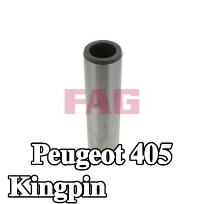 FAG Kingpin، عمود المحور — Peugeot 405