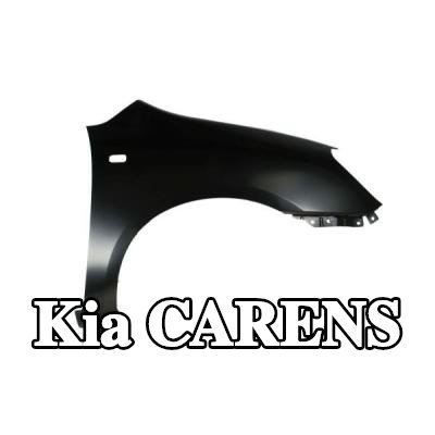BLIC رفرف الجناح الأمامي الأيمن — 2012 Kia Carens