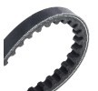 GATES V-kayışı 788mm — Honda Integra (4)