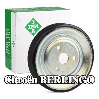 INA بكرة مضخة الماء — Citroën Berlingo