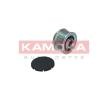 KAMOKA بكرة قابض المولد — Opel Campo (1)