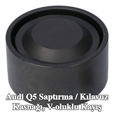 FEBI BILSTEIN Saptırma / kılavuz kasnağı, V-ribbed belt Outer Diameter: 55mm — Audi Q5