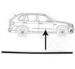VAN WEZEL Kapı kalıplama çıtası — 2012 BMW X5 (1)