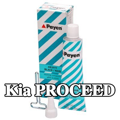 PAYEN مادة مانعة للتسرب — Kia Proceed