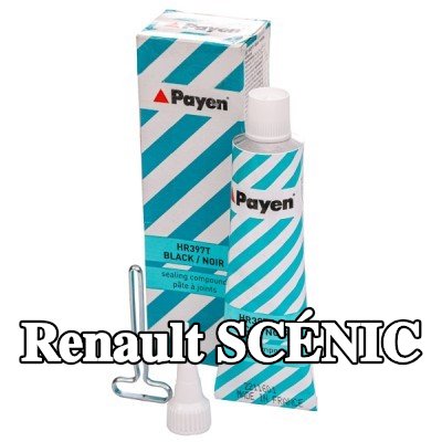 PAYEN مادة مانعة للتسرب — Renault Scénic