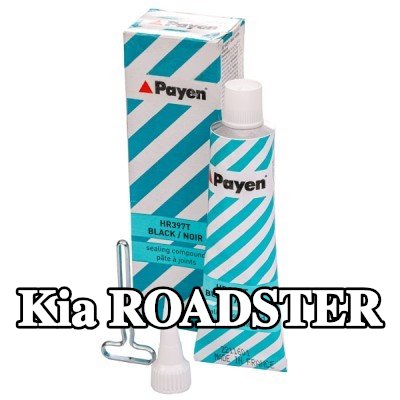 PAYEN مادة مانعة للتسرب — Kia Roadster