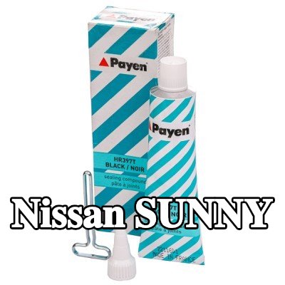 PAYEN مادة مانعة للتسرب — Nissan Sunny