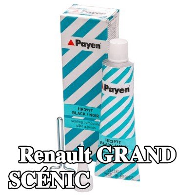PAYEN مادة مانعة للتسرب — Renault Grand Scénic