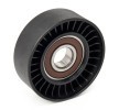 RIDEX Saptırma / kılavuz kasnağı, V-ribbed belt Outer Diameter: 70mm — Audi R8 (3)