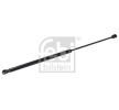 FEBI BILSTEIN دعامة باب صندوق الأمتعة لكلا الجانبين, 589mm — Renault Koleos (3)