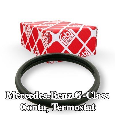 FEBI BILSTEIN Conta, termostat — 2000 Mercedes-Benz G-Class