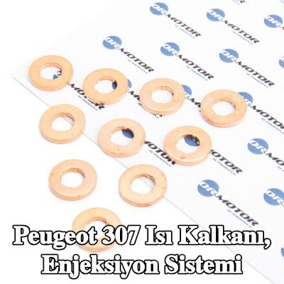 DR.MOTOR AUTOMOTIVE Isı Kalkanı, enjeksiyon sistemi — 2000 Peugeot 307