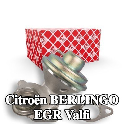 FEBI BILSTEIN Contalı/sızdırmazlık elemanlı EGR valfi — 1997 Citroën Berlingo