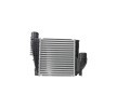 HELLA Intercooler — DS Ds9 (3)