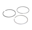 MAHLE Piston Segman Kiti — Opel Vectra (2)