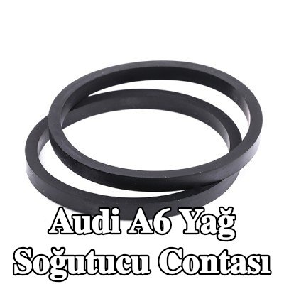 FEBI BILSTEIN Yağ soğutucu contası — 2000 Audi A6
