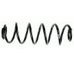 SACHS Helezon yay — Audi A6 (4)