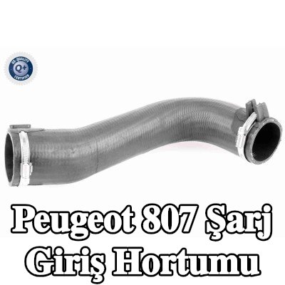 VAICO Şarj cihazı emme hortumu Q+, orijinal ekipman üreticisi kalitesi — Peugeot 807