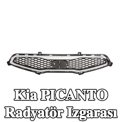 BLIC Radyatör ızgarası, krom/siyah — 2004 Kia Picanto