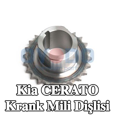 Oyodo Krank mili dişlisi — 2005 Kia Cerato