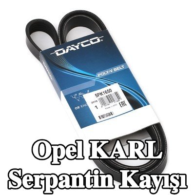 DAYCO Serpantin kayışı 1650, 0mm, Number of ribs: 5 — Opel Karl