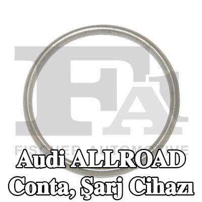FA1 Conta, şarj cihazı — Audi Allroad