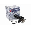ACKOJA Termostat 82°C, 30mm, contalı/sızdırmaz — Lexus Is (2)